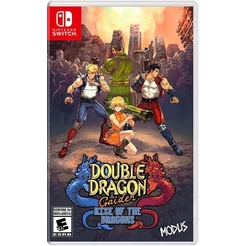 Double Dragon Gaiden Rise Of The Dragons Switch Midia Fisica