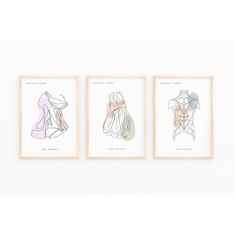 Quadro Decorativo Anatomia Humana, decoração casa, torax, mão, rosto