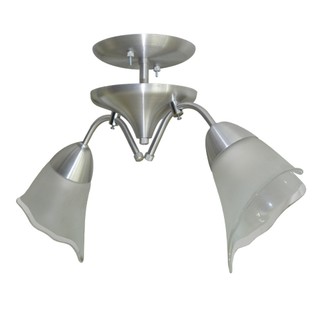 Lustre Com 2 Hastes e 2 Tulipas Ideal Para Sala Quarto - Modelo Vidro Flor