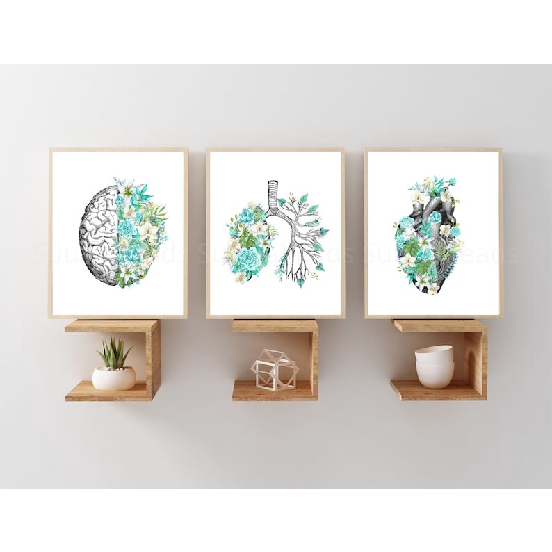 Quadro Decorativo Anatomia Humana, decoração casa Quadro Decorativo Medicina Minimalista tamanho grande Decoração para sala casa cozinha quarto Quadro decorativo Corpo Humano abstrata Moderno Decoração Corpo Humano Retro arte #58
