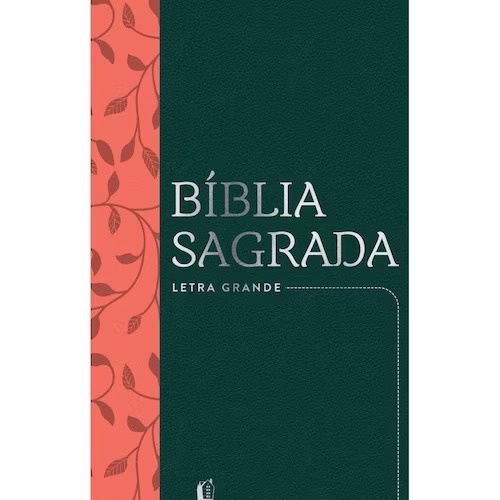 Bíblia Sagrada | NVI | Leitura Perfeita | Letra Grande | Couro Soft | Verde - Books & Magazines