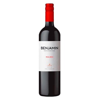 Vinho Argentino Tinto Malbec BENJAMIN NIETO Garrafa 750ml