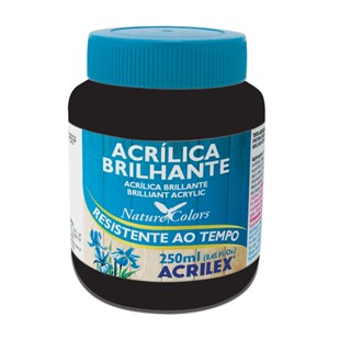 Tinta acrílica brilhante Preto 250ml 520 Acrilex