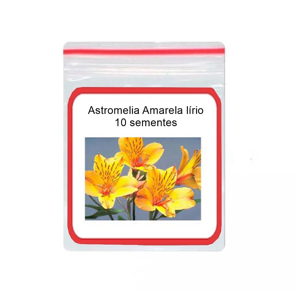 Astromélias Amarelas: Onde Comprar | BuscaProdutos