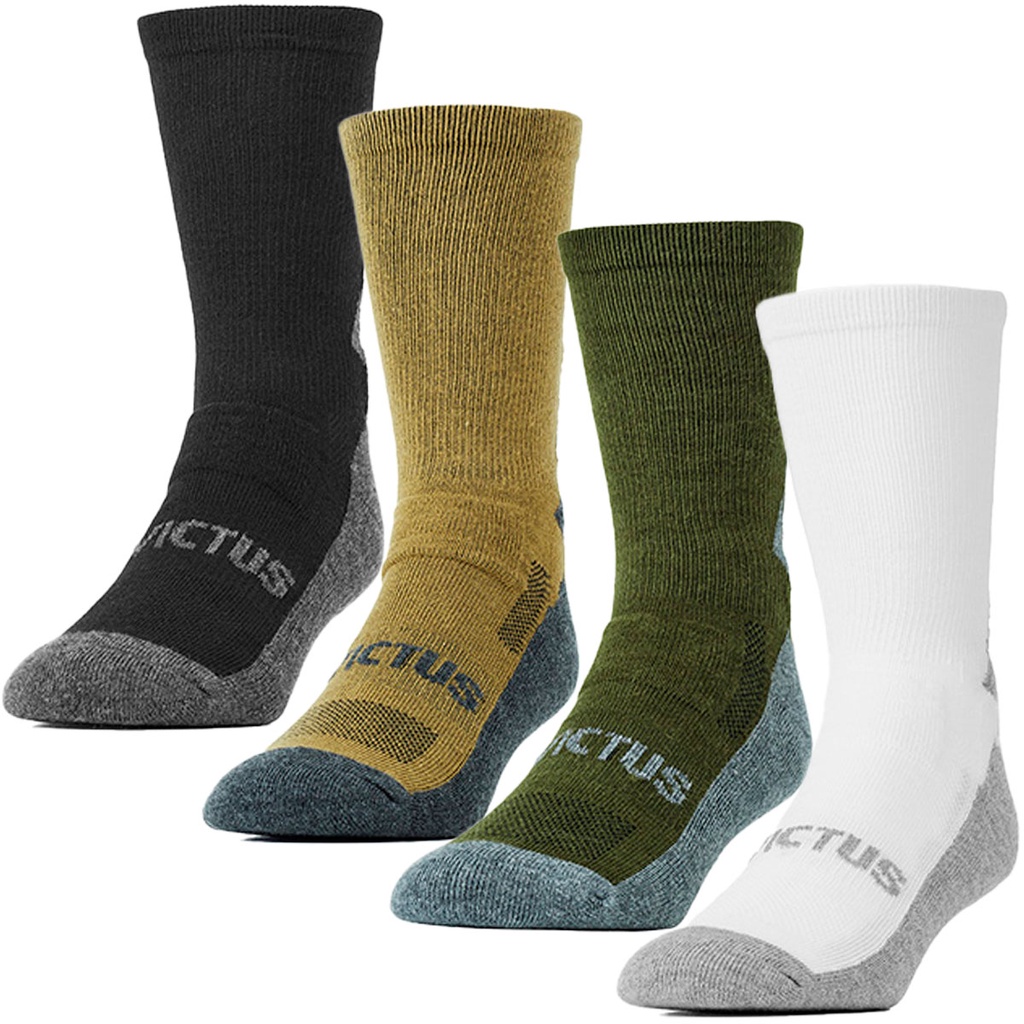 O que é Invictus Masculino? Guia e Onde Comprar | BuscaProdutos