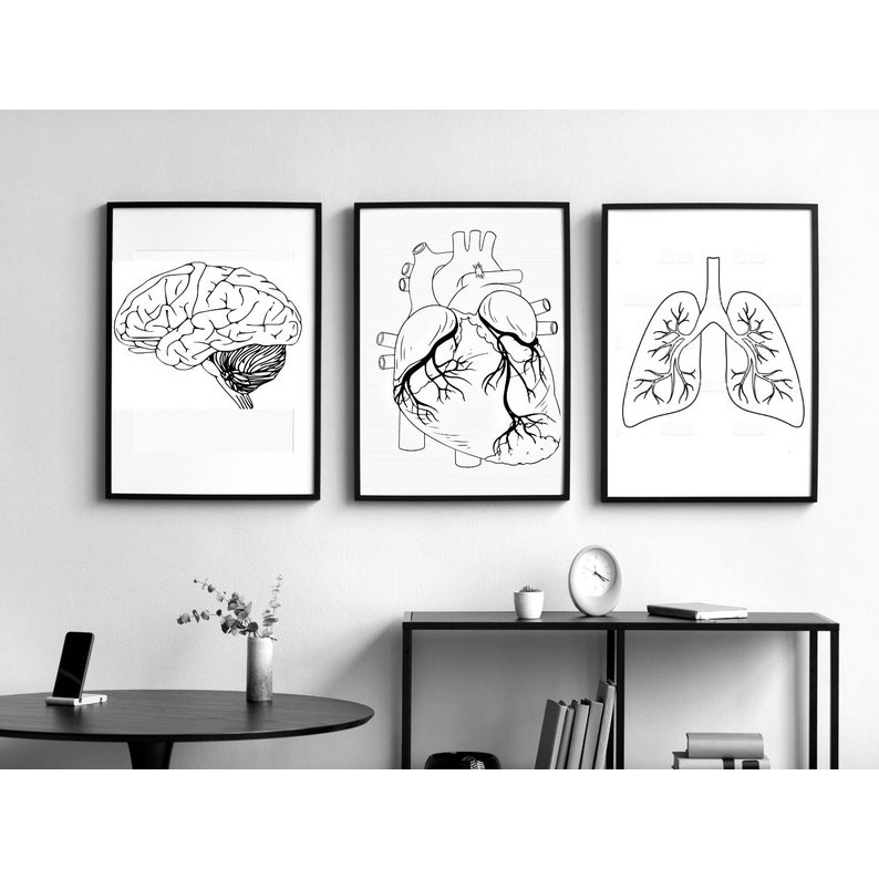 Quadro Decorativo Anatomia Humana, decoração casa Quadro Decorativo Medicina Minimalista tamanho grande Decoração para sala casa cozinha quarto Quadro decorativo Corpo Humano abstrata Moderno Decoração Corpo Humano Retro arte #19