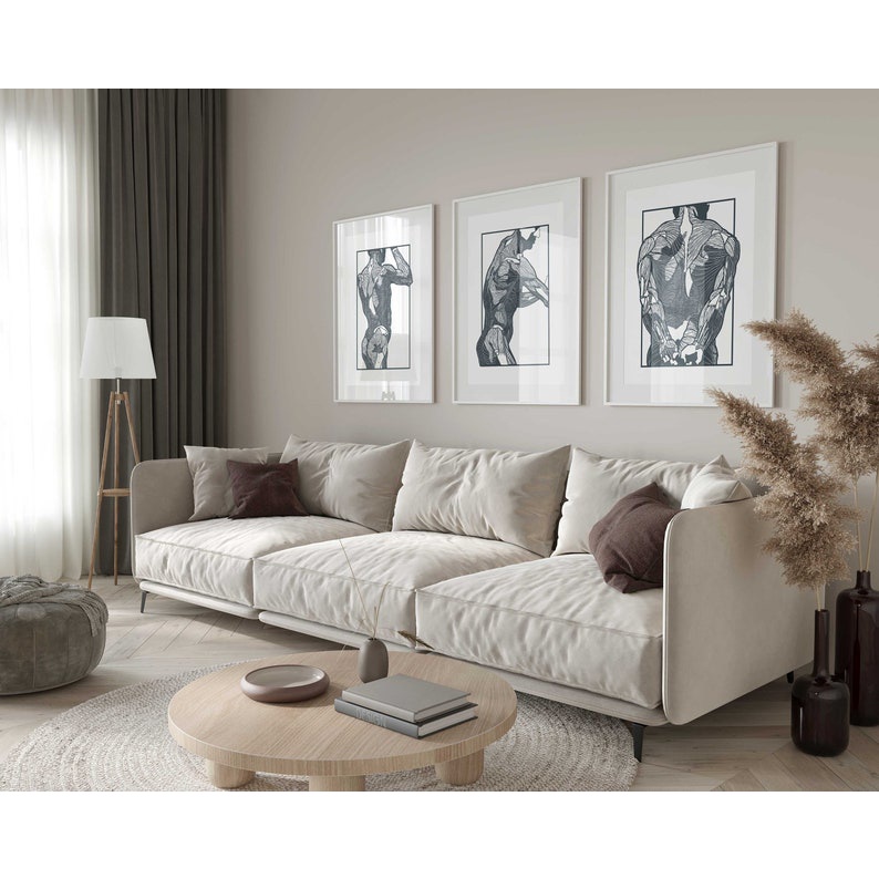 Quadro Decorativo Anatomia Humana, decoração casa Quadro Decorativo Medicina
