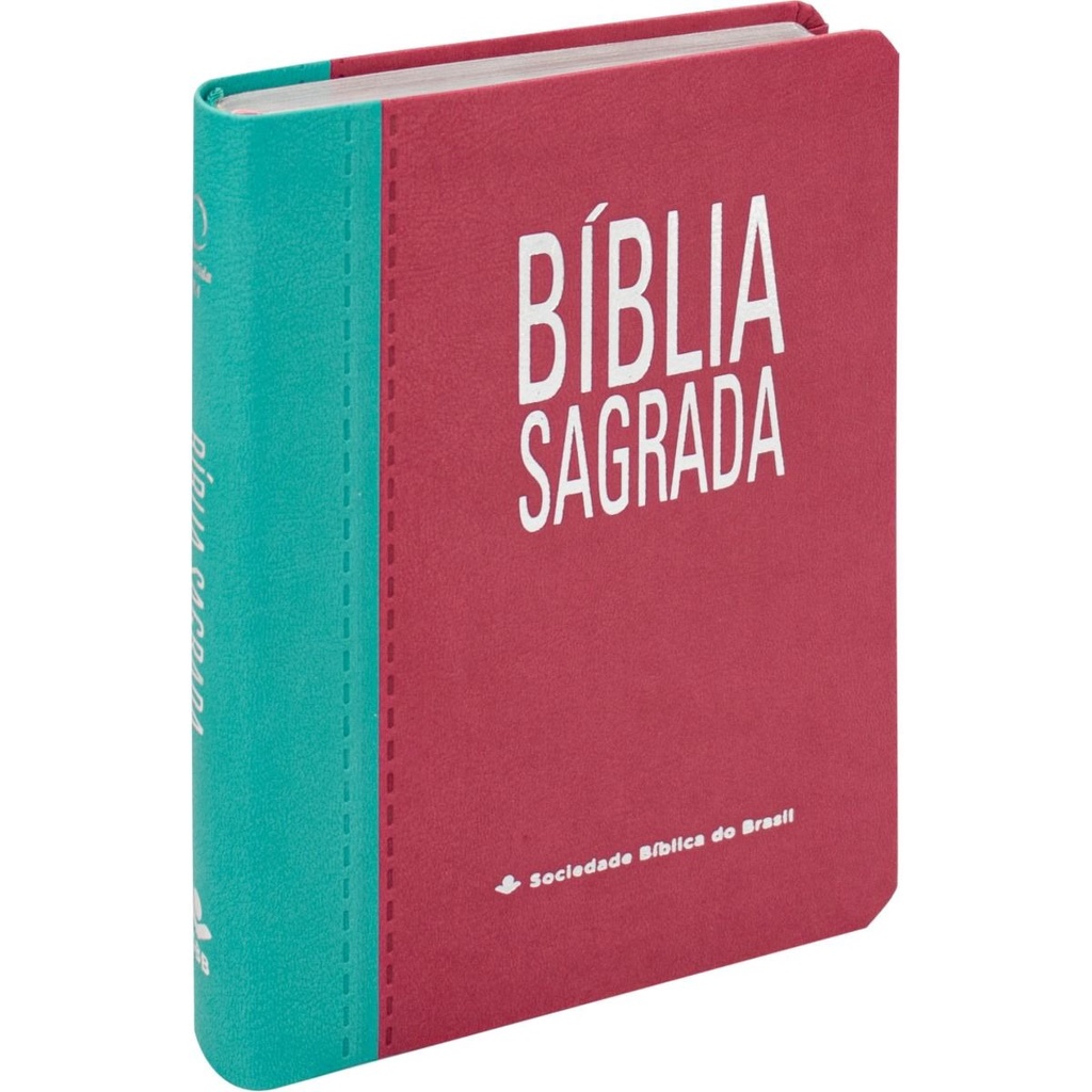 Bíblia Sagrada | RA | Letra Gigante | Índice | Turquesa e Pink