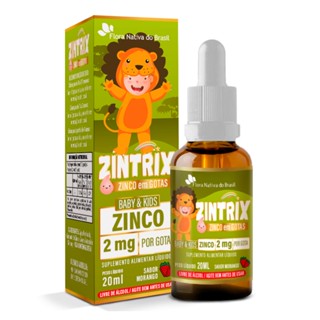 Suplemento Alimentar de Zinco 2mg gota) 20ml Sabor Morango Kids