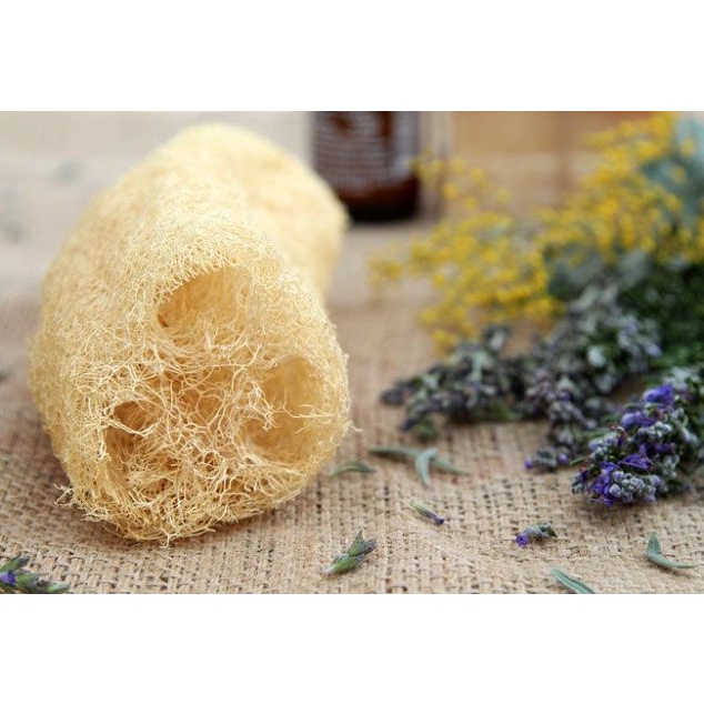 Kit 2 Buchas Vegetais Naturais para Banho - Esfoliação Suave e Orgânica