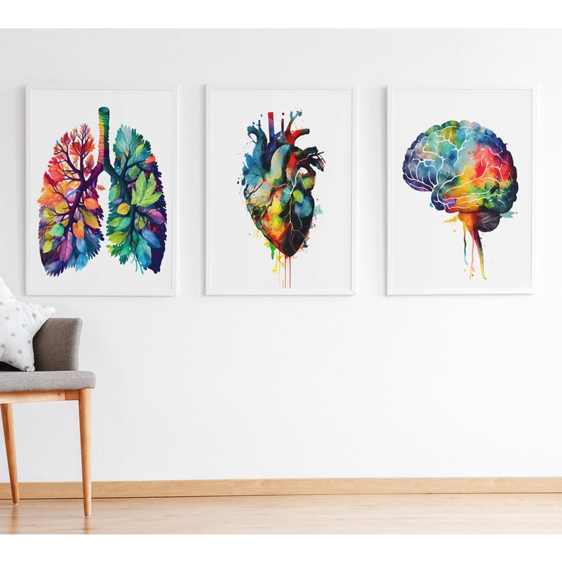 Quadro Decorativo Anatomia Humana, decoração casa Quadro Decorativo Medicina Minimalista tamanho grande Decoração para sala casa cozinha quarto Quadro decorativo Corpo Humano abstrata Moderno Decoração Corpo Humano Retro arte #22