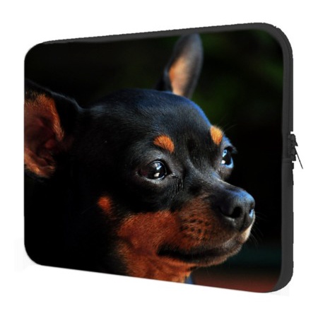 Case Notebook Dogs - Pinscher, o mini dobermann