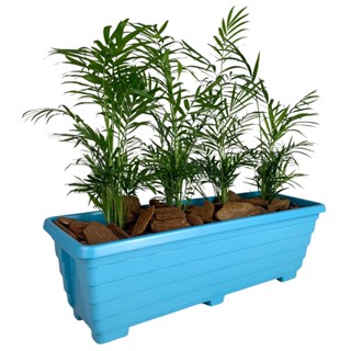 Jardineira Floreira 50cm De Plástico Para Plantas E Flores