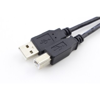 Cabo Universal Usb 2.0 Macho Impressora E Projetor 2 Metros