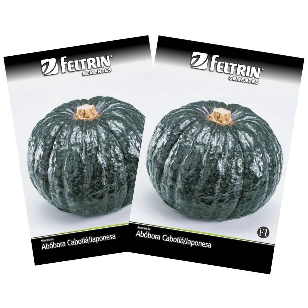 2X Sementes de Abóbora Hiroko (Cabotiá/Japonesa) FELTRIN