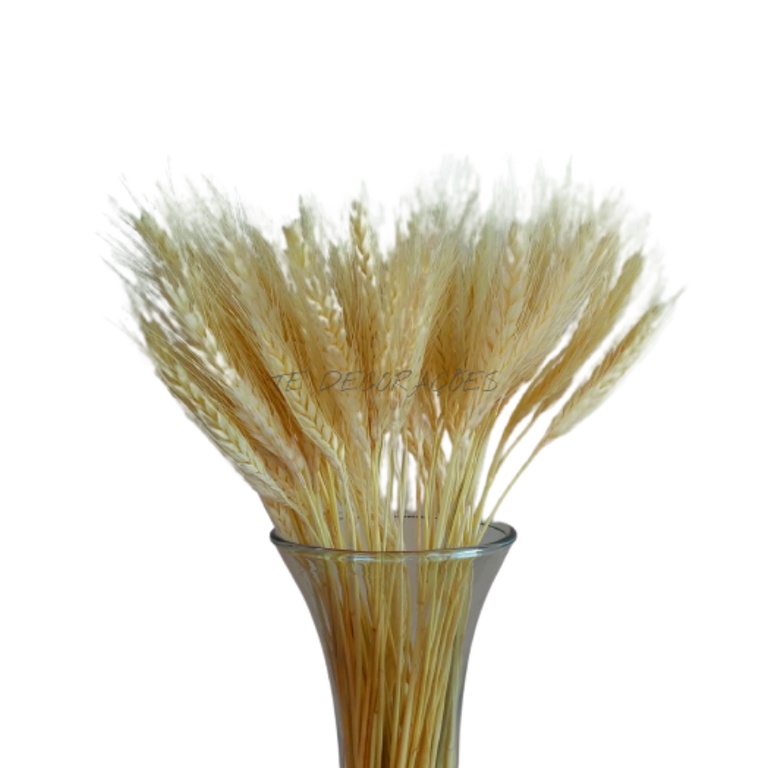 Presentes para Aniversário de 15 Anos: Onde Comprar | BuscaProdutos