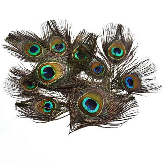 20Pieces Natural Peacock Feathers Eye Crafts Bijuteria Fazendo Penas Festa De Carnaval Pluma Acessórios De Cabeleireiro Decoração