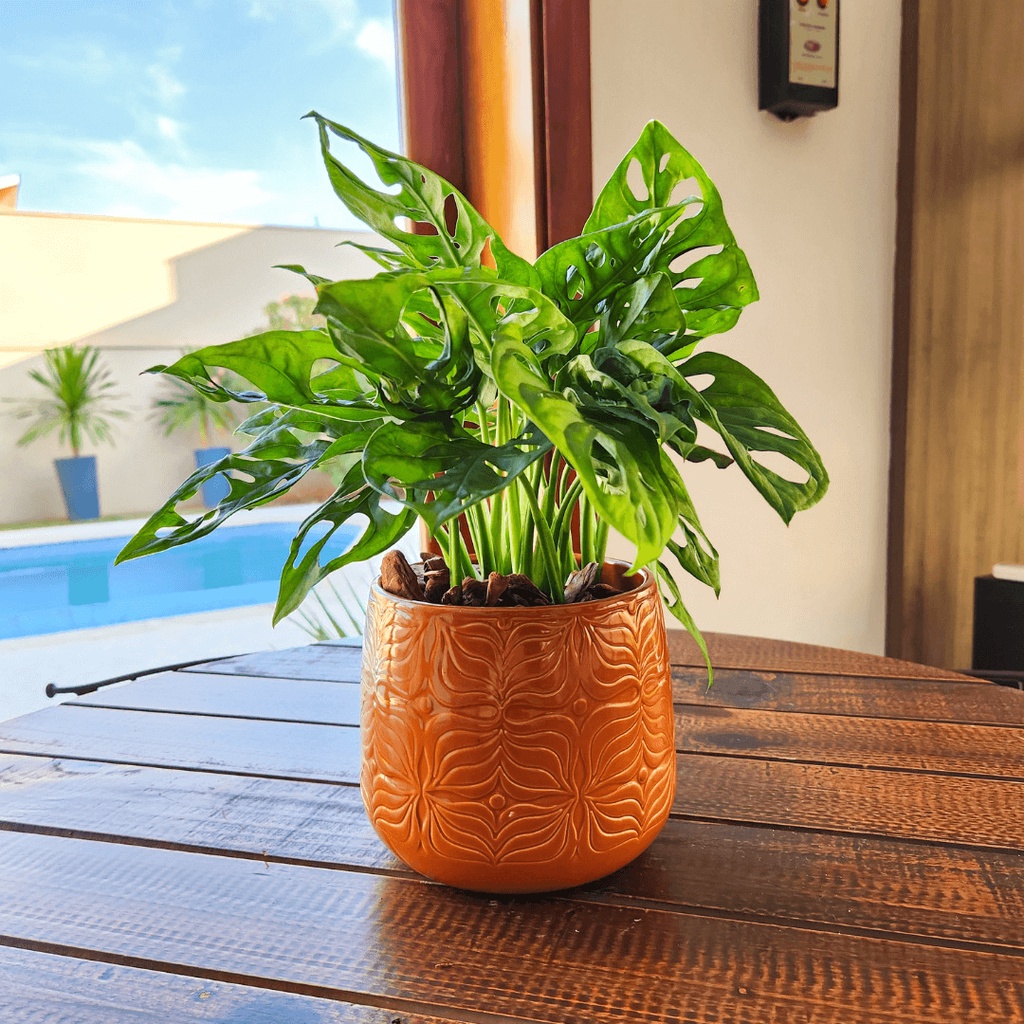 Vaso De Mesa Decorativo Cachepot De Porcelanato 13x13cm