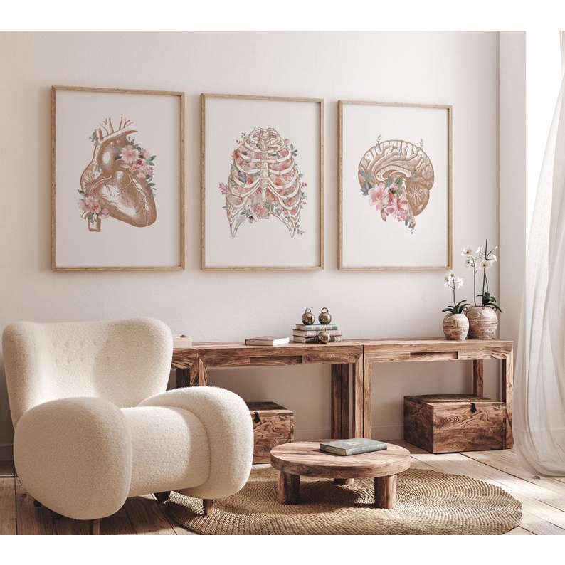 Quadro Decorativo Anatomia Humana, decoração casa Quadro, floral, Cerebro, coração, tórax