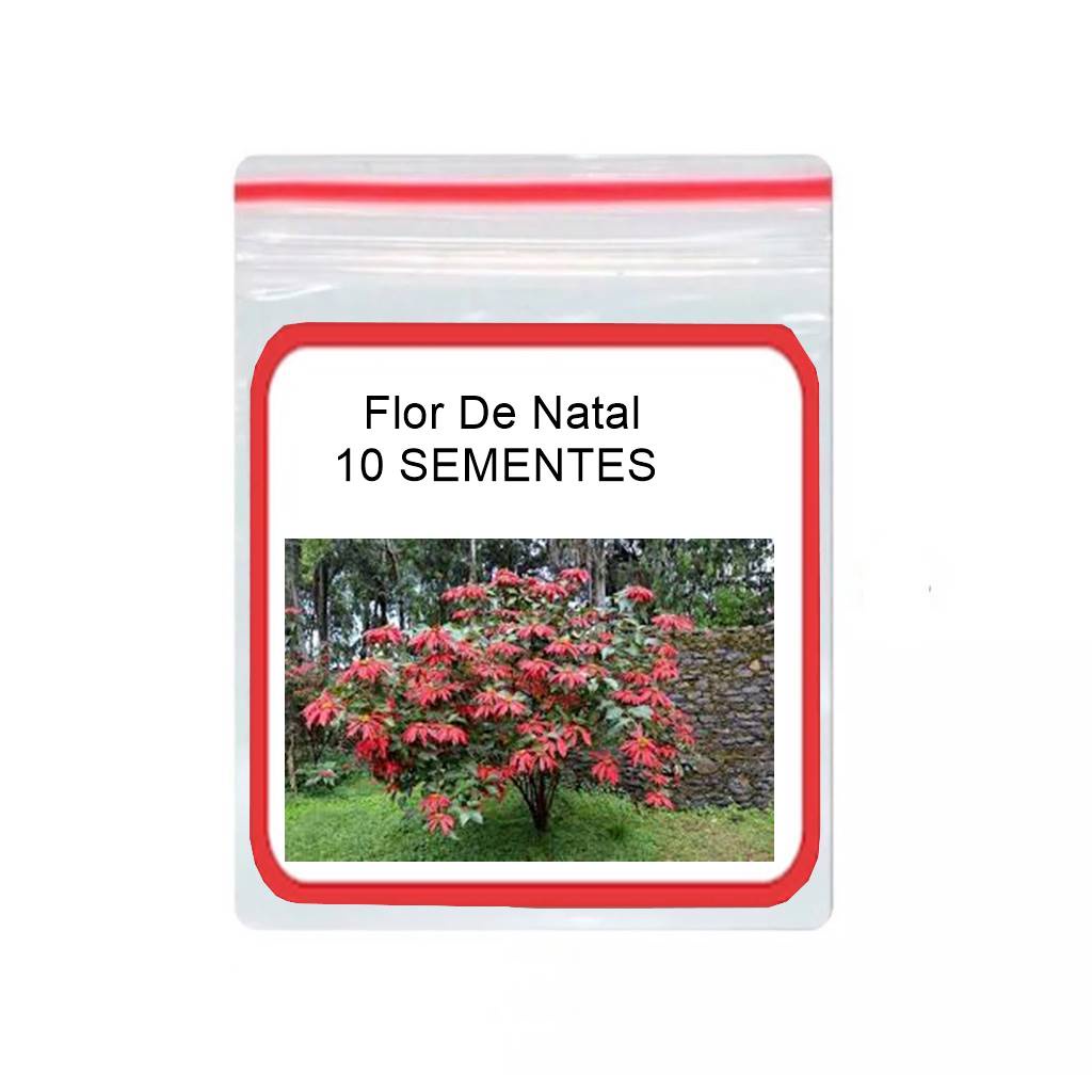 Flor De Natal jardim bico de papagaio 10 Sementes