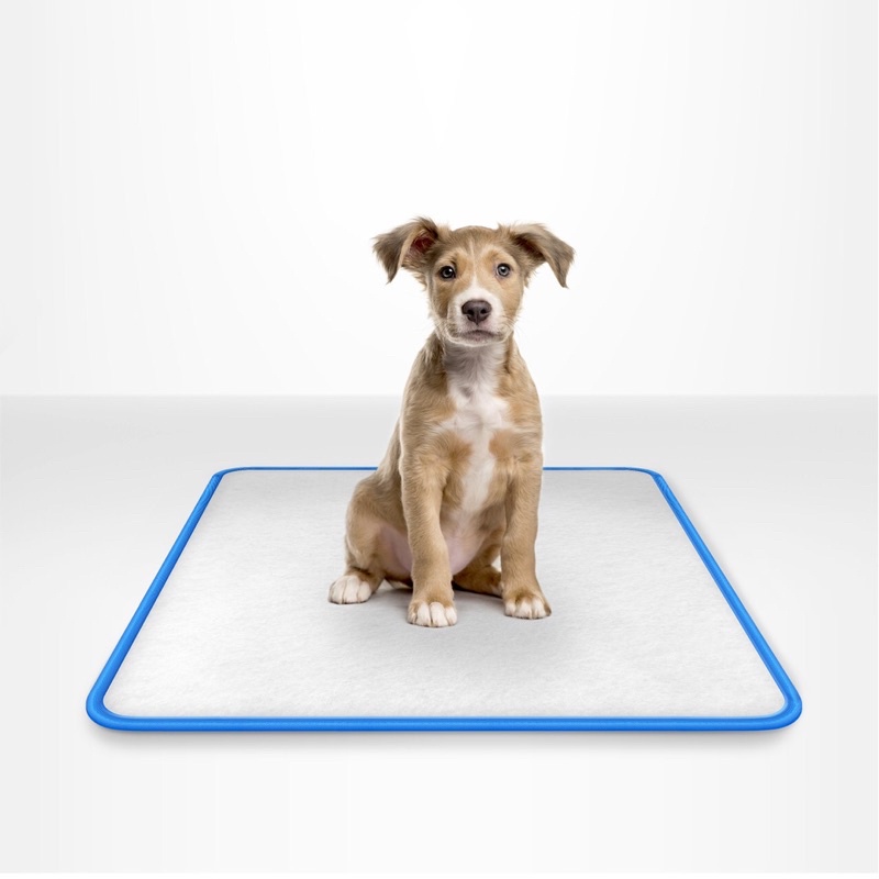 Tapete Higiênico Lavável Para Cães - P 60x50 em Oferta na Shopee
