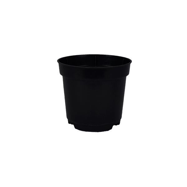 50 Vaso Vasinhos Pote N6 Preto P/ Suculentas E Mini Plantas