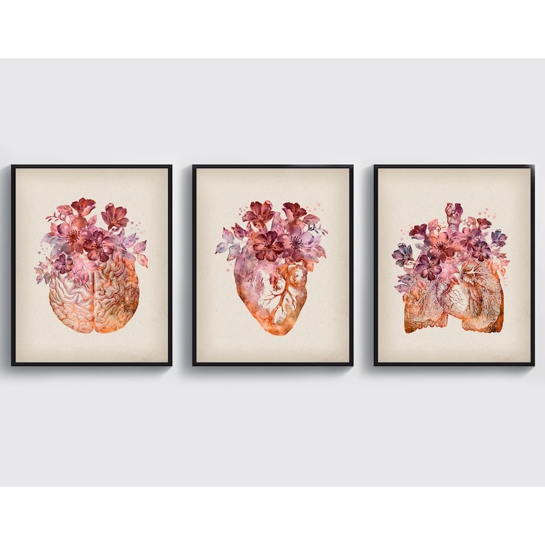 Quadro Decorativo Anatomia Humana, decoração casa Quadro Decorativo Medicina Minimalista tamanho grande Decoração para sala casa cozinha quarto Quadro decorativo Corpo Humano abstrata Moderno Decoração Corpo Humano Retro arte #37
