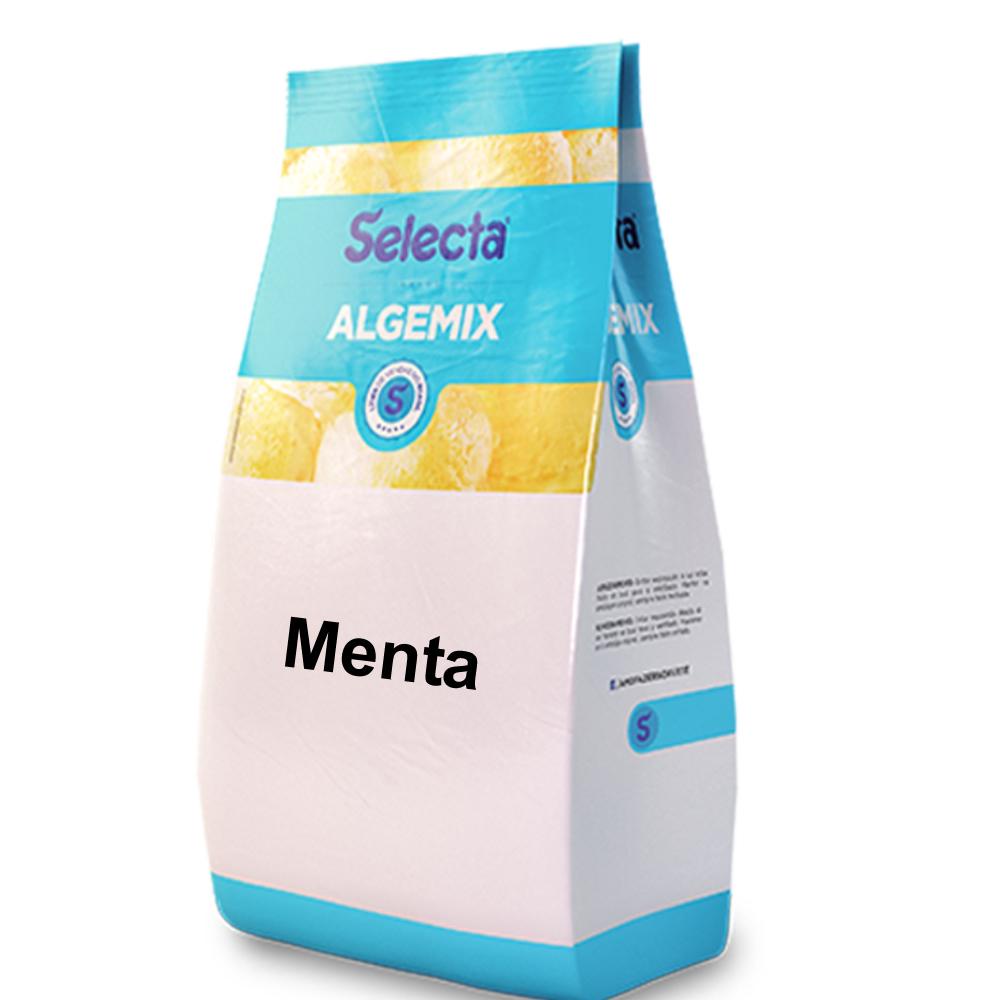Algemix Saborizante de Sorvete Menta 1 Kg