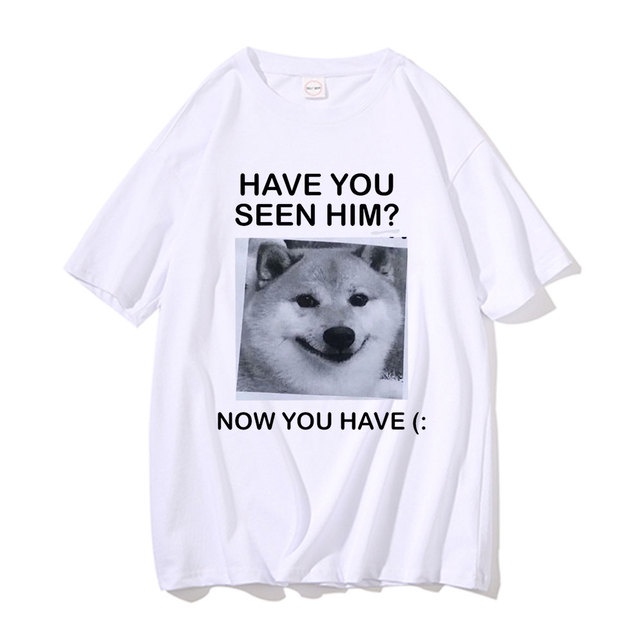 Shiba Dog: Guia Completo e Onde Comprar | BuscaProdutos