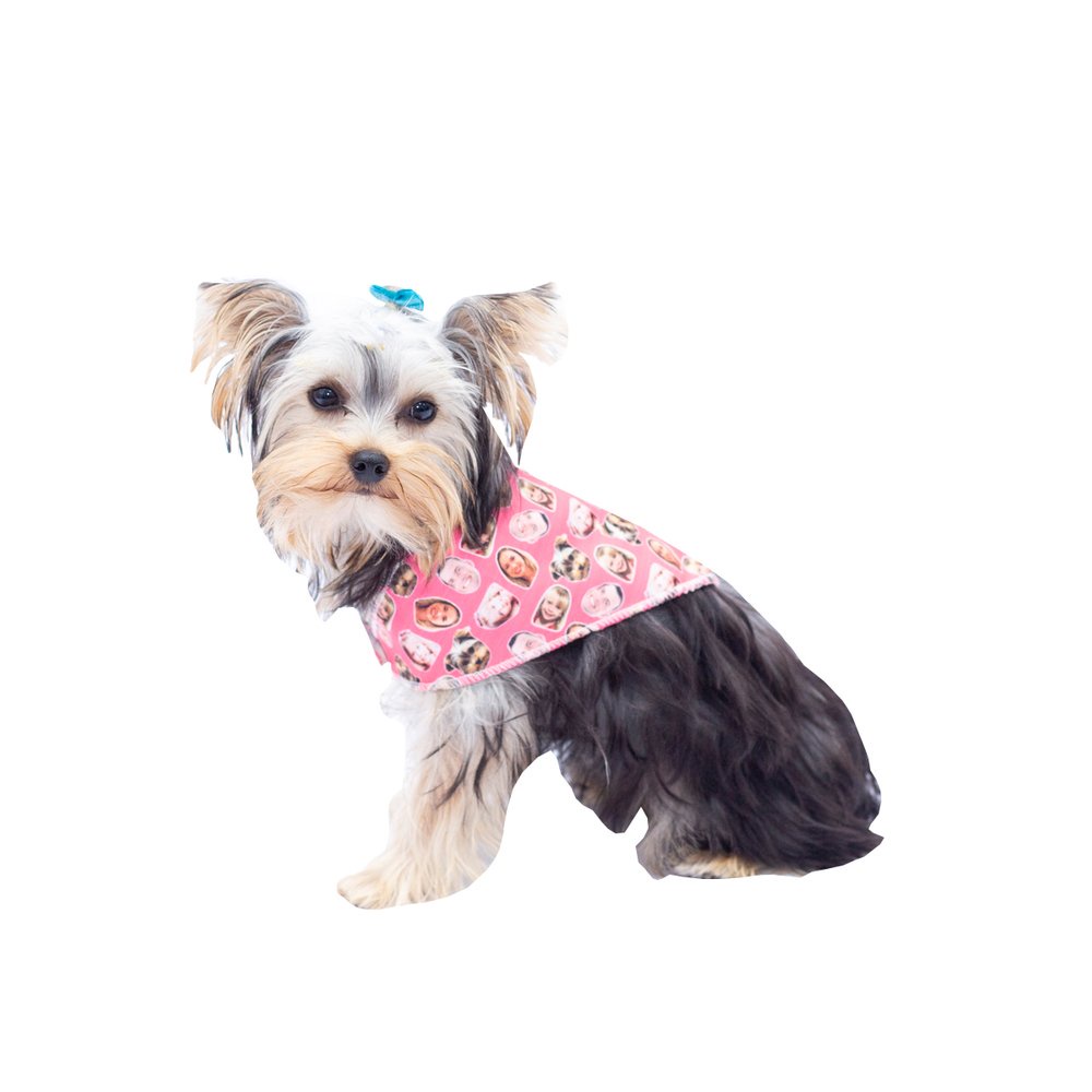Bandana Pet Personalizada Rosa Chiclete