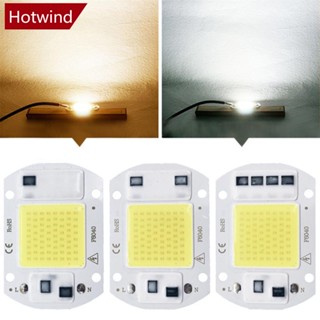 HOTWIND 110V 220V Chip LED 20W 30W 50W COB Sem Necessidade De Driver Contas De Lâmpadas Para Iluminação De Bricolage Branco Quente G5M4
