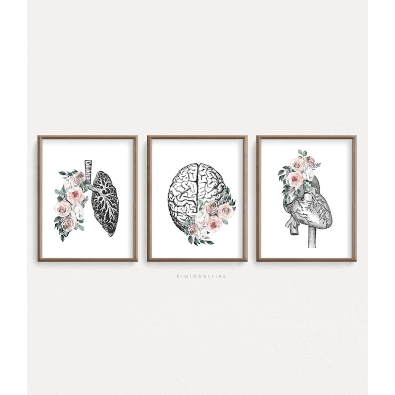 Quadro Decorativo Anatomia Humana, decoração casa Quadro Decorativo Medicina Minimalista tamanho grande Decoração para sala casa cozinha quarto Quadro decorativo Corpo Humano abstrata Moderno Decoração Corpo Humano Retro arte #25