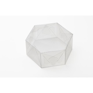 10 CAIXAS 7x7x4,2 SEXTAV PET (B5-T)