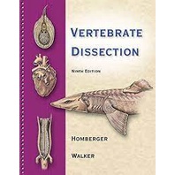 Vertebrate Dissection Espiral autor Dominque G. Homberger