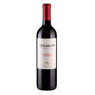 Vinho Argentino Benjamin Cabernet Sauvignon 750ml em Oferta na Shopee