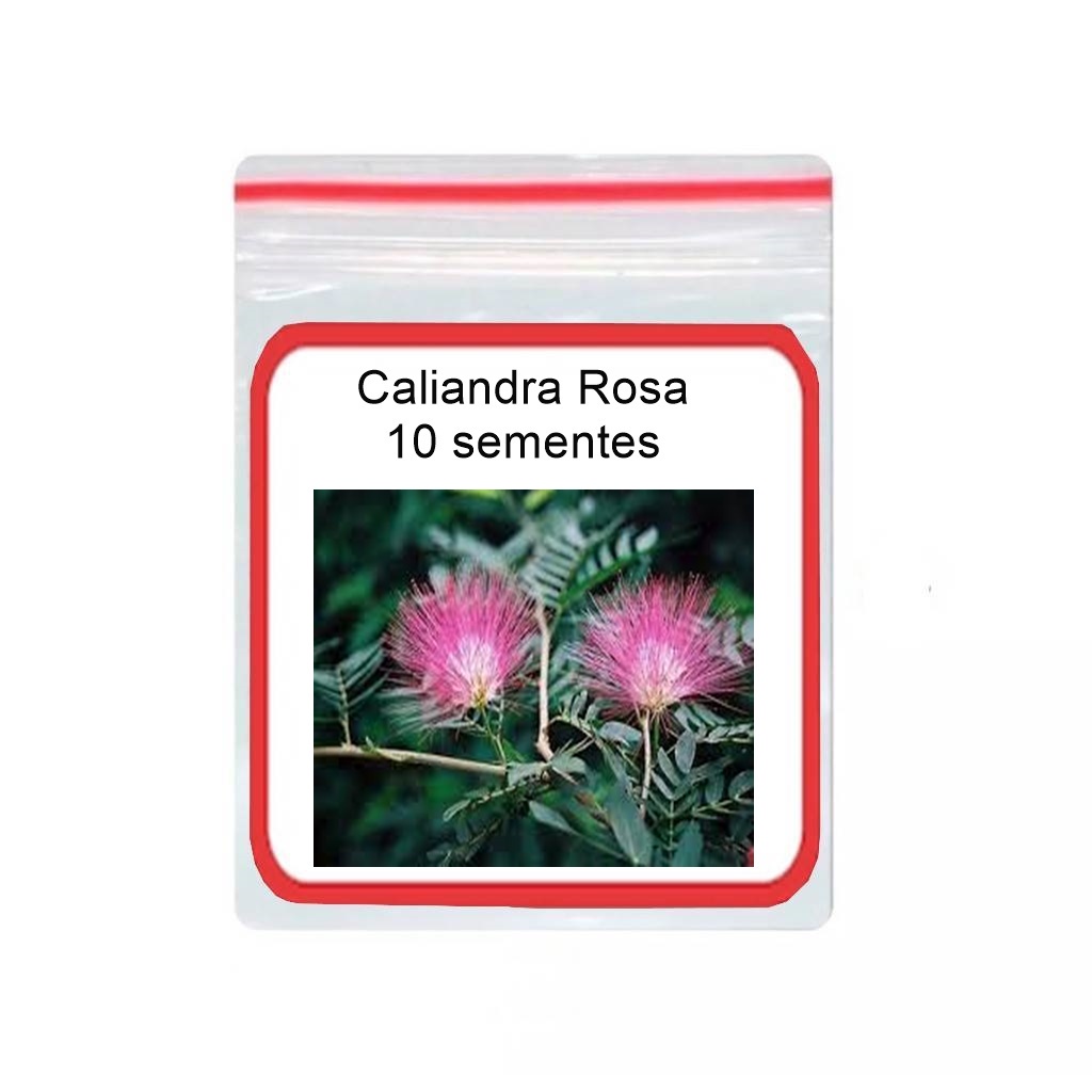 10 Sementes Caliandra Rosa arbustiva paisagismos flor