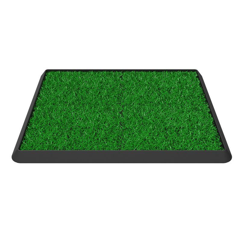 Beclean Tapete Sanitizante