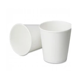 Copo de papel Branco Biodegradável- 20 un - 360 ml - Silver Festas