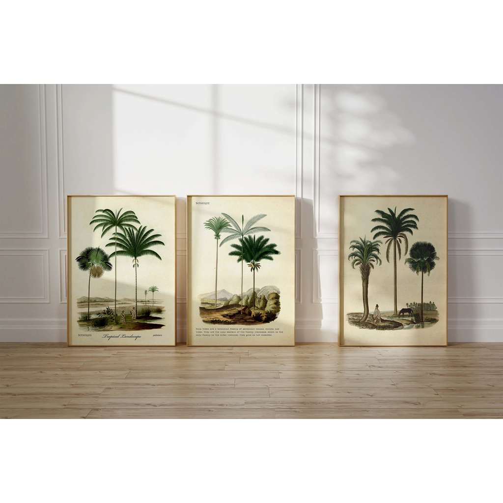 Quadro Decorativo Folhas Tropical Botânico minimalista , decoração casa Quadro Decorativo Tropical Folhas Minimalista tamanho grande Decoração para sala casa cozinha quarto Quadro decorativo abstrata Moderno Decoração Folhas Retro arte #16