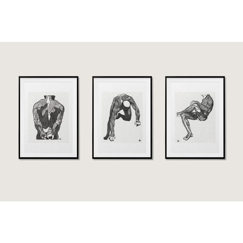 Quadro Decorativo Anatomia Humana, decoração casa Quadro Decorativo Medicina Minimalista tamanho grande