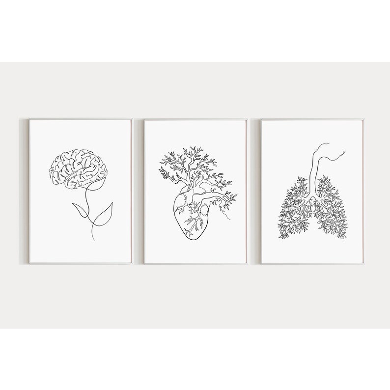 Quadro Decorativo Anatomia Humana, decoração casa Quadro Decorativo Medicina Minimalista tamanho grande Decoração para sala casa cozinha quarto Quadro decorativo Corpo Humano abstrata Moderno Decoração Corpo Humano Retro arte #12