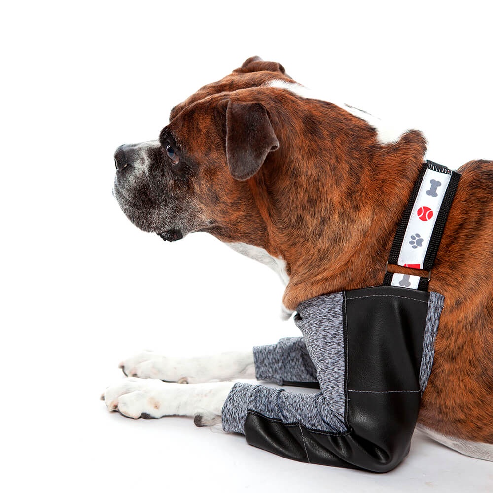 Roupa Protetora Cotoveleira Higroma Para Cães Pet Med em Oferta na Shopee