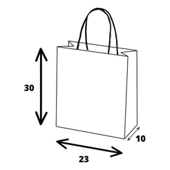 Sacola De Papel Branca Resistente M 30x23x10cm - 50und