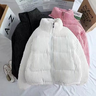 Casaco de inverno curto feminino de algodão de veludo
