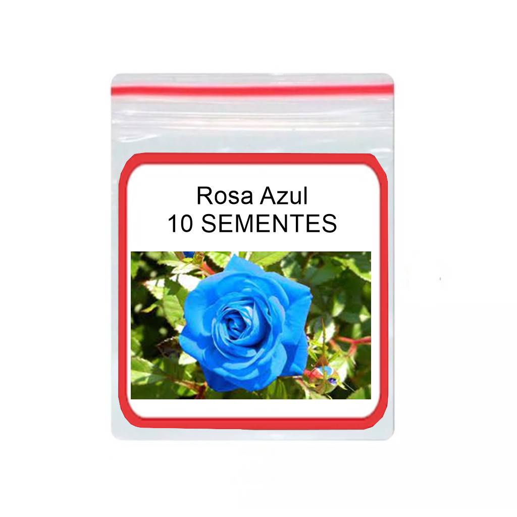 Rosas Exótica Azul Planta Flores Rara ornamental 10 Sementes
