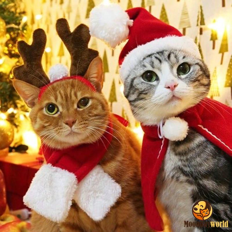 Natal Quente Cachecol Chapéu Manto Do Filhote De Cachorro Do Gato Do Cão Vermelho Chapéu Pet Traje Cosplay Roupas Para Animais