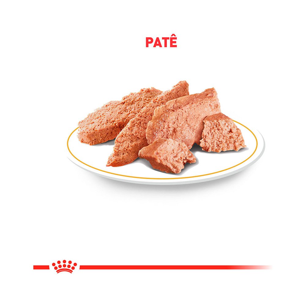 Ração Úmida Sachê Royal Canin Shih Tzu Cães Adultos 85g · foto 2