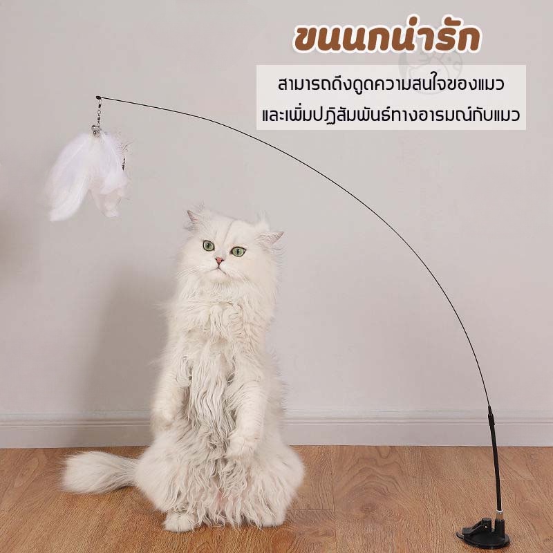 ✨😻﻿ ของเล่นล่อแมว ไม้แหย่แมว ล้อเลียน Cat Stick ไม้ตกแมว แบบปุ่มดูดสุญญากาศ ขนนก สําหรับแมว - ภาพที่ 5