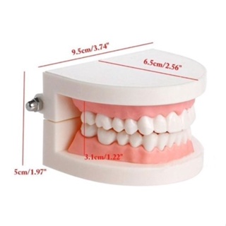 Macro Modelo Odontológico