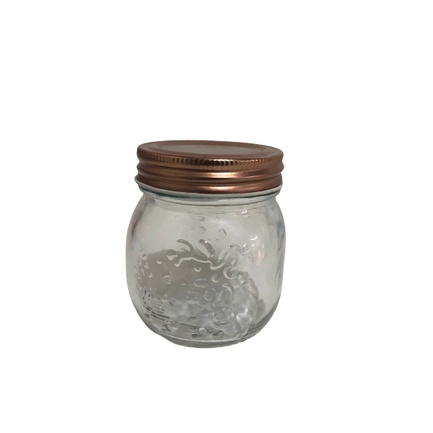 Pote Frasco de Vidro Transparente com Tampa Rosca de Metal 250ml